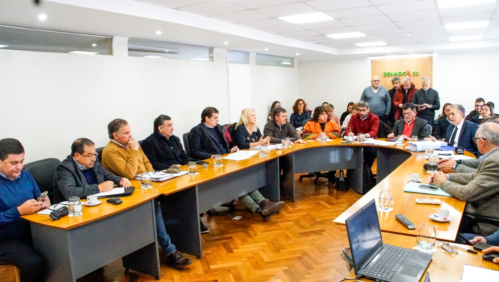 alt="Legisladores en mesa de comisiones conjuntas del Senado provincial debatiendo la reforma previsional en Entre Ríos junto a funcionarios"