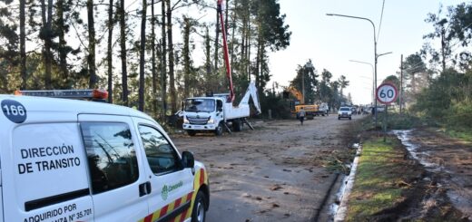 alt="Ramas y árboles caídos en la zona de Villa Zorraquín durante el temporal que causó el corte de luz en Concordia"