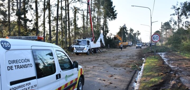 alt="Ramas y árboles caídos en la zona de Villa Zorraquín durante el temporal que causó el corte de luz en Concordia"