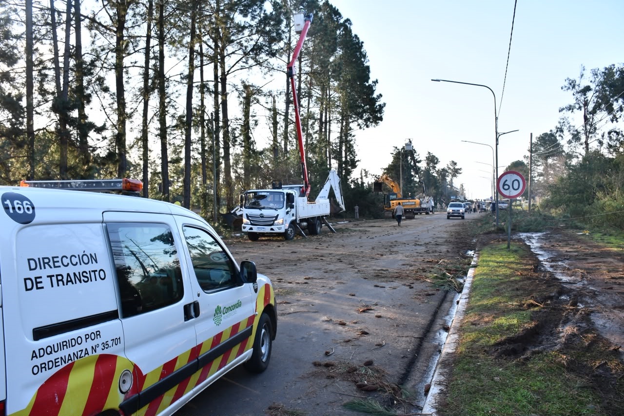 alt="Ramas y árboles caídos en la zona de Villa Zorraquín durante el temporal que causó el corte de luz en Concordia"