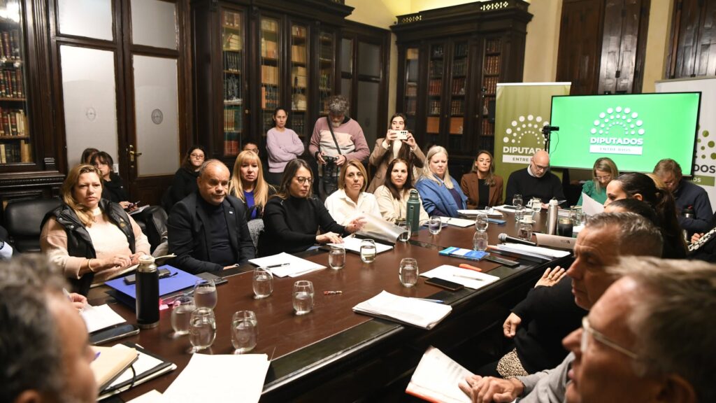 alt="Reunión de comisiones legislativas durante el debate de la reforma previsional en la Cámara de Diputados de Entre Ríos"