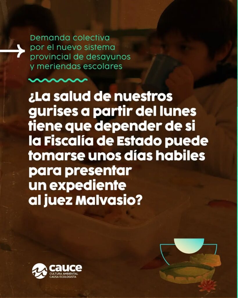 alt="cautelar por los comedores escolares en Entre Ríos - pieza de difusión de Fundación CAUCE"