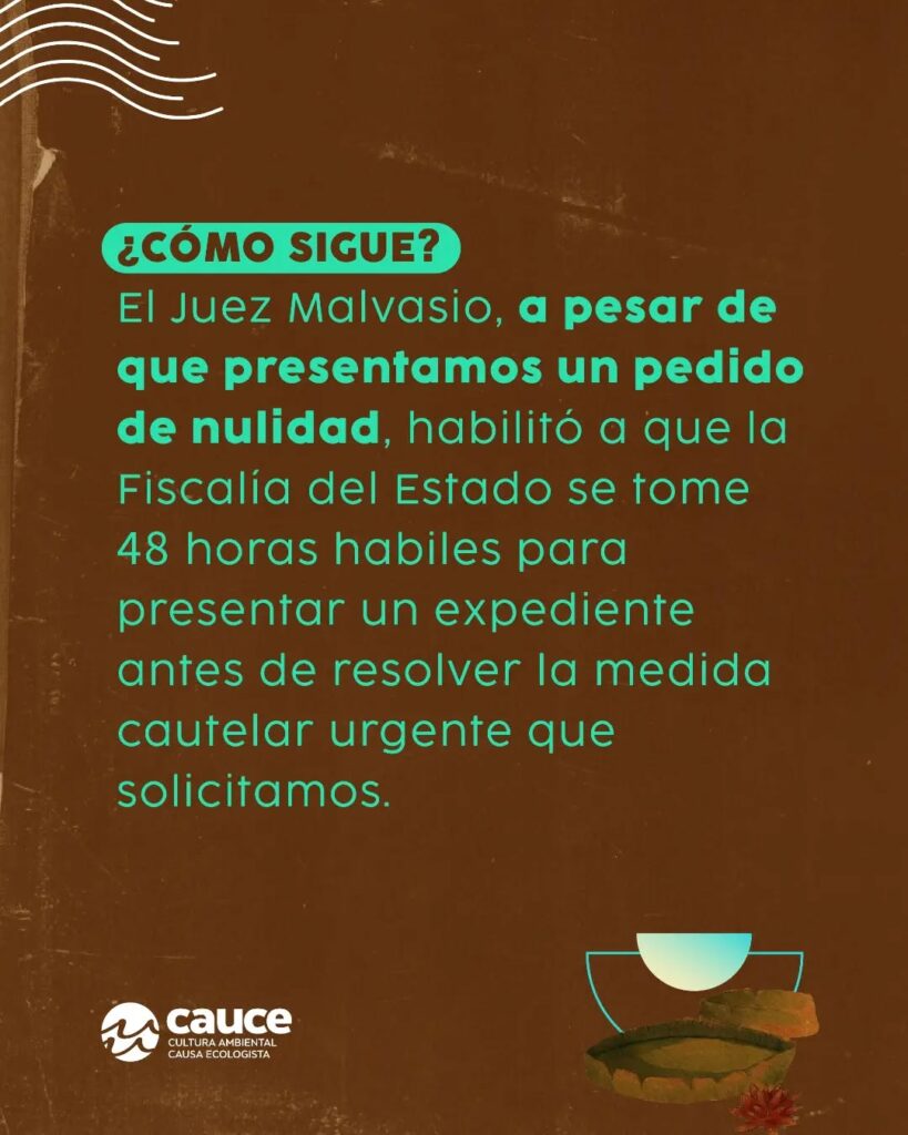 alt="cautelar por los comedores escolares en Entre Ríos - pieza de Fundación CAUCE sobre los plazos judiciales"