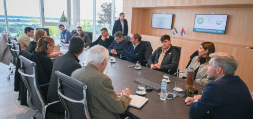alt="Reunión oficial en Paraná sobre el impacto de las tarifas eléctricas en el sector foresto-industrial entrerriano y el alivio en las tarifas eléctricas del sector foresto-industrial de Entre Ríos"