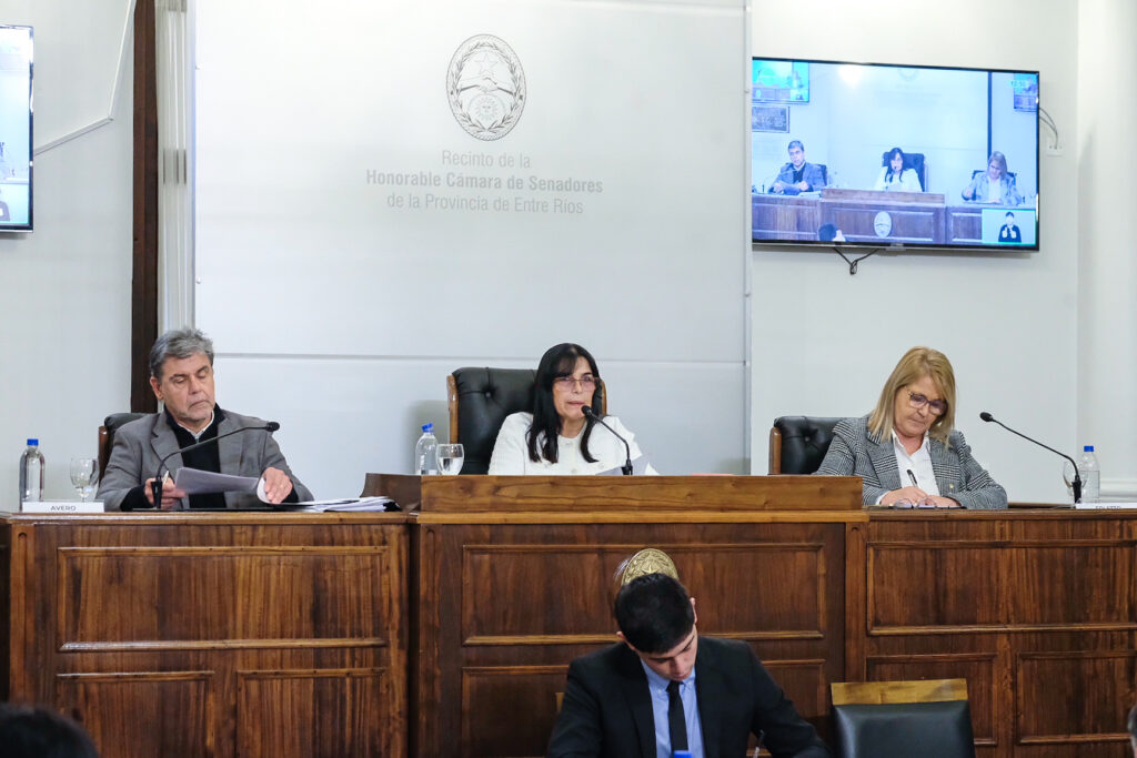 alt="Alicia Aluani preside la sesión donde se aprobó la ley 11.300"