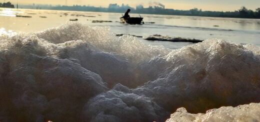 alt="Primer plano de espuma blanca y densa a la orilla del río con un bote difuso en el fondo bajo el sol de la mañana"