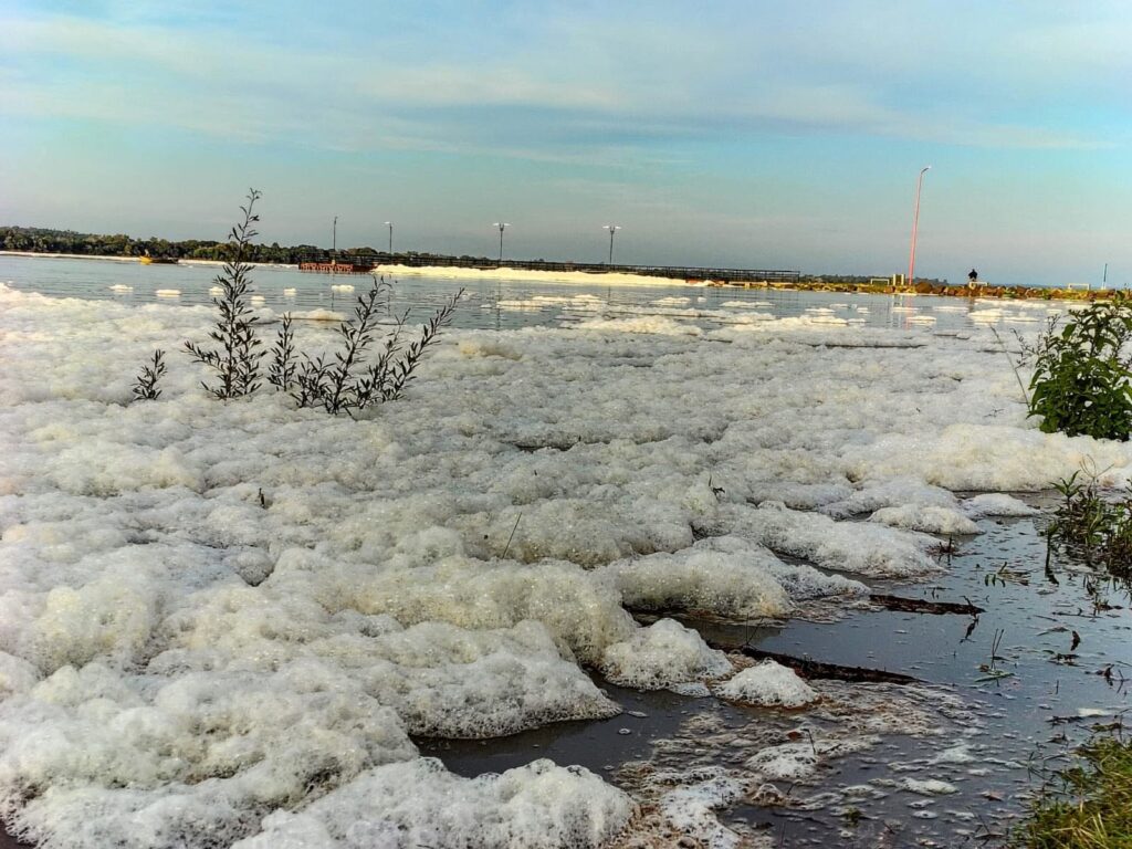 alt="espuma blanca de origen natural disipandose en las aguas del río Uruguay"