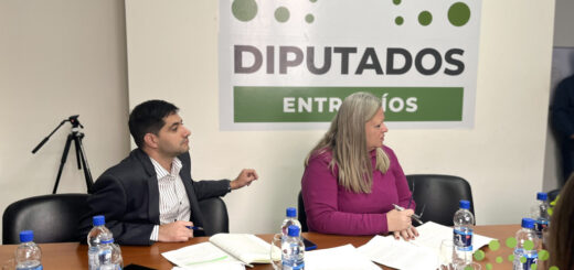 alt="Reunión de comisión en la Cámara de Diputados sobre la transformación digital de Entre Ríos"
