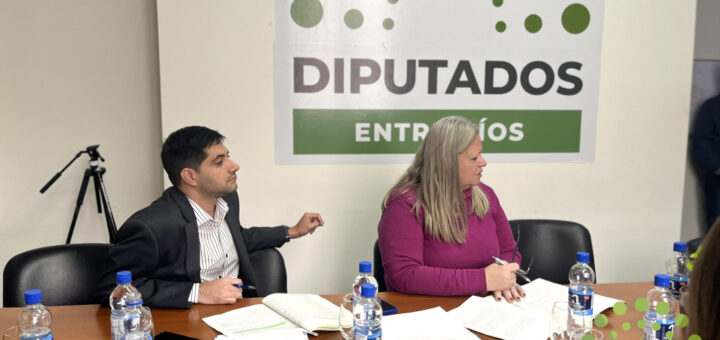 alt="Reunión de comisión en la Cámara de Diputados sobre la transformación digital de Entre Ríos"