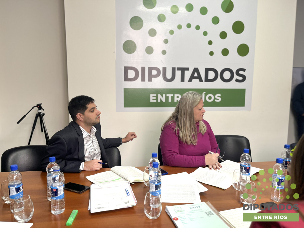 alt="Reunión de comisión en la Cámara de Diputados sobre la transformación digital de Entre Ríos"