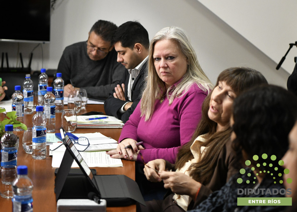 alt="Diputados y gremialistas debaten la Ley de Transformación e Innovación Digital de Entre Ríos en la última reunión de comisión legislativa"