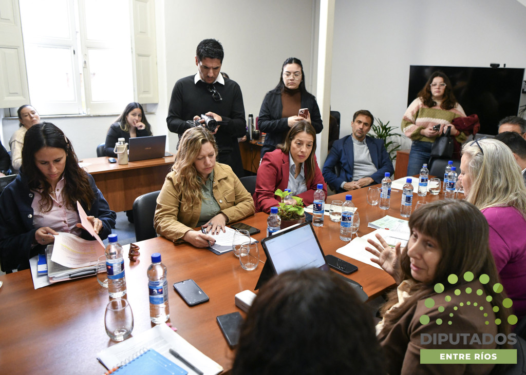 alt="Sala de la Comisión de Educación, Ciencia y Tecnología tratando la transformación digital de Entre Ríos"