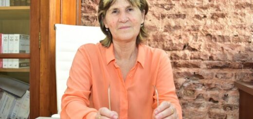 alt="Retrato de la Dra. Petit analizando la reforma de cajas municipales en Entre Ríos"