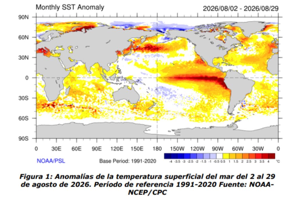 alt="Mapa mundial de anomalía de temperatura superficial del mar para el plan de prevención de El Niño en Entre Ríos"