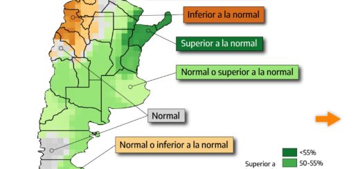alt="Mapa de precipitación del pronóstico climático trimestral octubre-diciembre 2026 del SMN para Argentina"