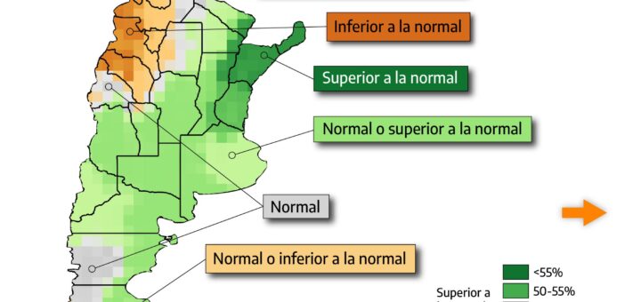 alt="Mapa de precipitación del pronóstico climático trimestral octubre-diciembre 2026 del SMN para Argentina"