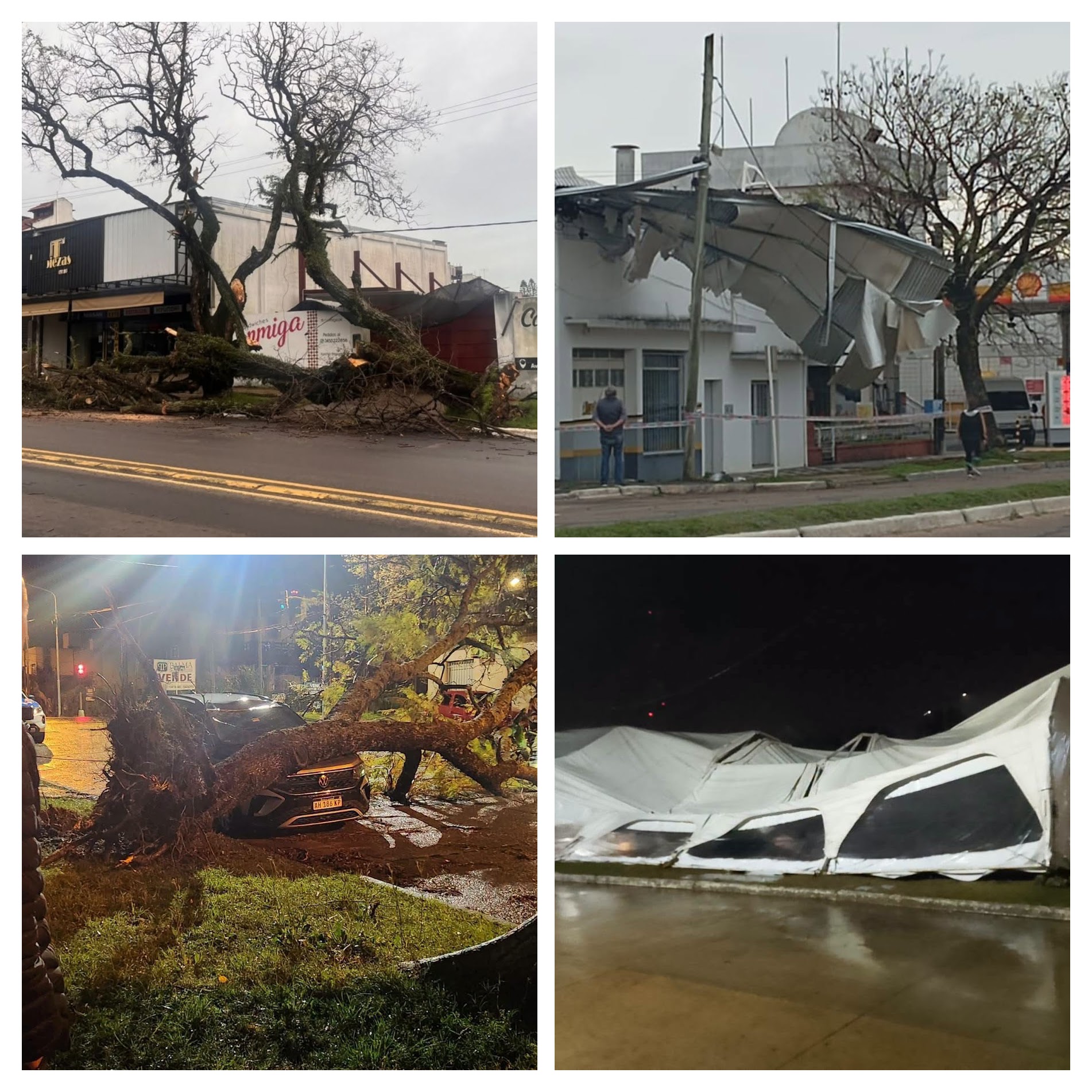 alt="Collage de imágenes de los daños causados por el temporal en Concordia: árbol caído sobre la calle, techo de una vivienda volado, árbol sobre un auto y estructura de lona destrozada"