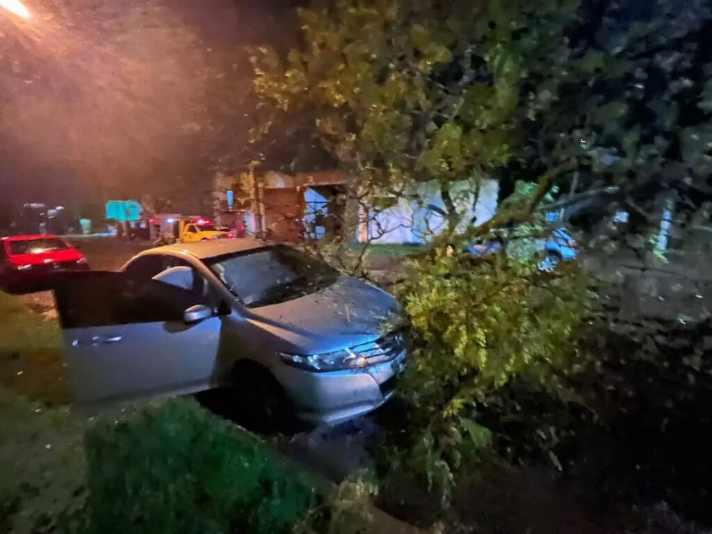 alt="árbol caído sobre un automóvil durante la noche del miércoles en Concordia"