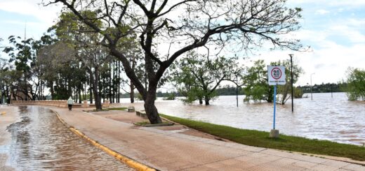 alt="Vista de la costanera de Concordia con calles inundadas durante la visita de Frigerio en Concordia por la creciente del río Uruguay"