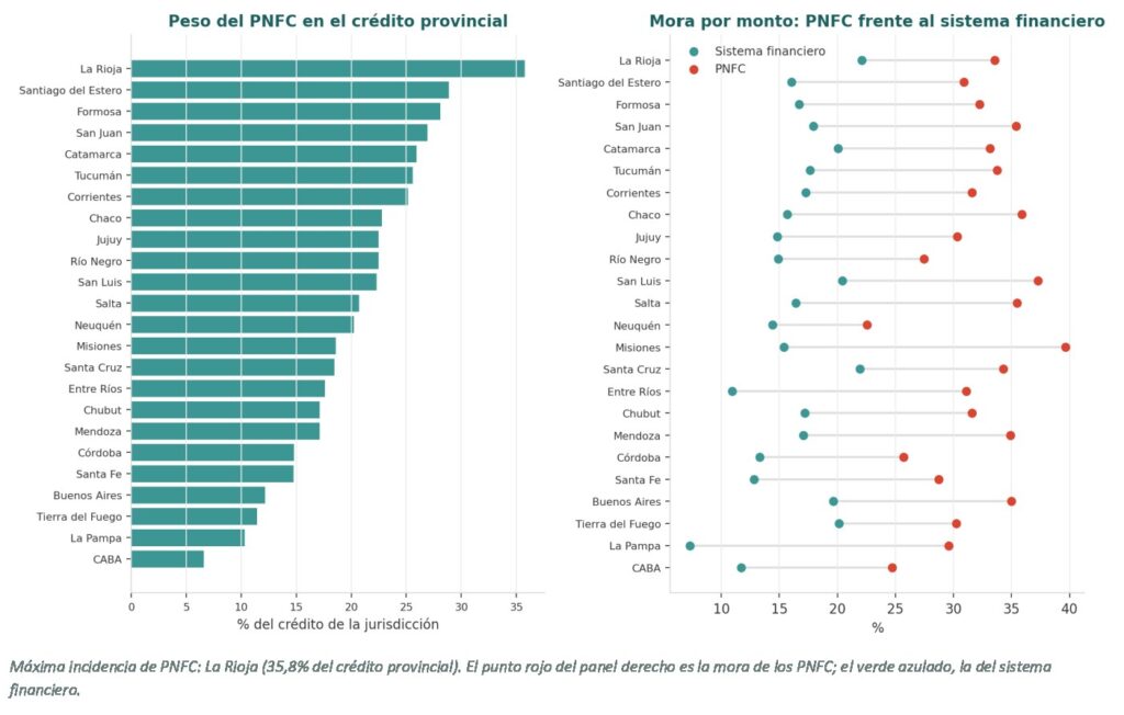alt="Gráfico que compara el peso de los proveedores no financieros de crédito y su mora frente al sistema financiero, con Entre Ríos entre las provincias, sobre el endeudamiento de las familias en Entre Ríos"